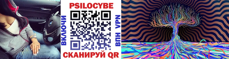 Псилоцибиновые грибы Magic Shrooms  Тогучин 